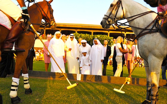 environmental destruction, climate change, natural disasters, the green sheikh