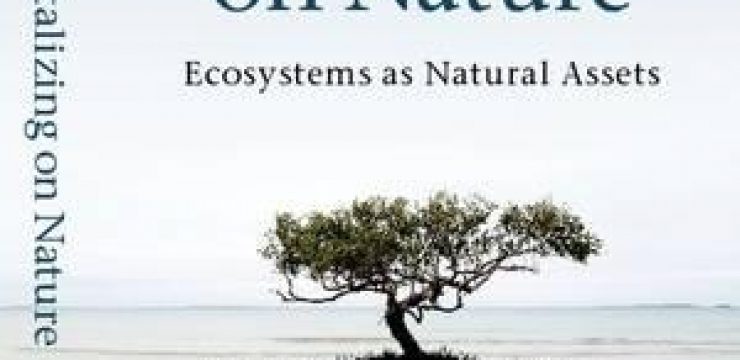 capitalizing-on-nature-ecosystems-as-natural-assets.jpg