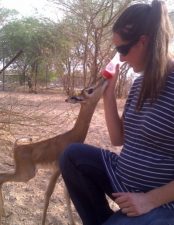 Name this Baby Orphaned Gazelle