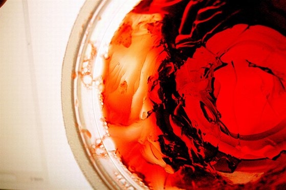 meat glue, food and health, industrial food, organic food, water, water contamination, holy water, vegetarian food