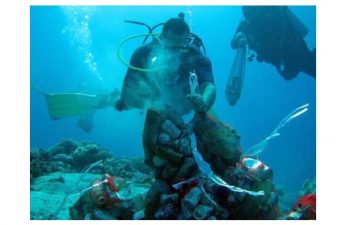 Eid Ul Adha Divers Clean 80 Kilos of Undersea Trash