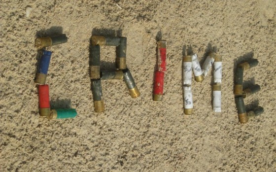 Crazy Kuwaiti Yahoos Kill 12 Flamingos with Shotguns Egypt's 1st Ever Solar Decathlon Team May Fail Because of Fundraising Concerns