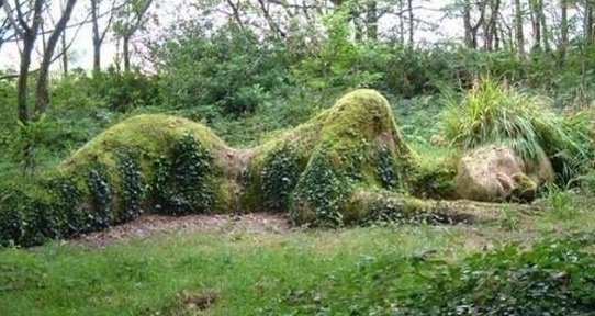 ecology sex, sexuality