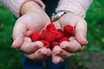 12 Uber Simple Steps to Green Your Life in 2012