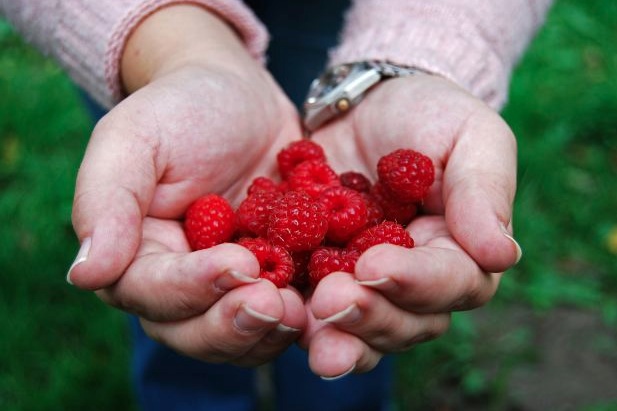 12 Uber Simple Steps to Green Your Life in 2012