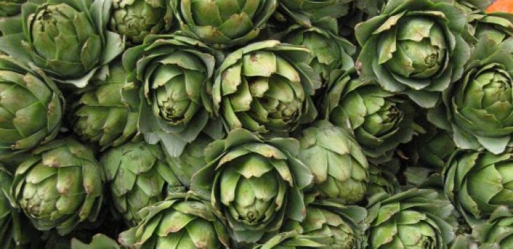 Artichokes.jpg