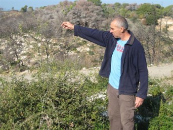 beit oren green kibbutz, forest fire Carmel fire, Israel