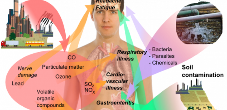 Health_effects_of_pollution.png