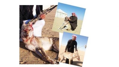 Kuwaiti Kills Wolf and Then Shows Off