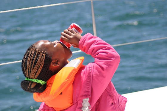 biodiversity, eco-tour, cape town, ocean adventurer, biomass, upwelling, green tourism, marine protected area