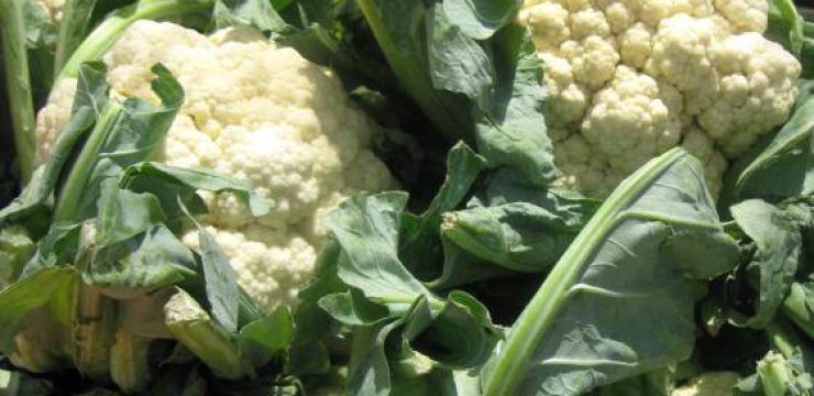 cauliflower.jpg