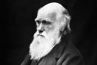 Darwin clashes with the Quran and internet filters in Turkey