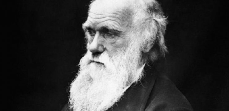 charles-darwin.jpg