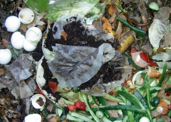 compost, new years resolutions, environment, green lifestyle tips, cycling, electricity, energy efficiency, water conservation, recycling,