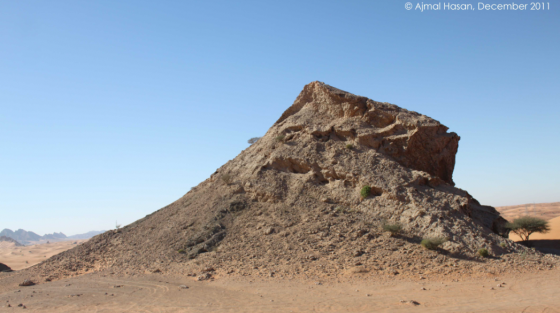fossil rock arabian desert