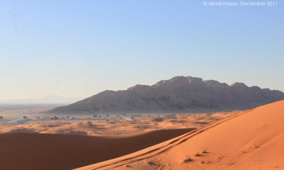 fossil rock arabian desert