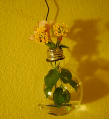 "light bulb hanging vase"