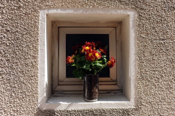 the middle east, fair trade, eco-stores, eco-shoping, sex shop, sustainable development, Christmas, holiday shopping,