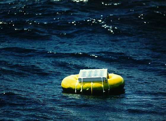 water issues, pollution, climate change, coral reef, red sea, gulf, electricity, nature conservation, coral