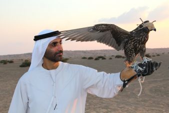 Nature’s Wisdom Through the Photographer’s Lens: The Green Sheikh