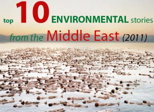 Top 10 Environmental Stories From the Middle East (2011)