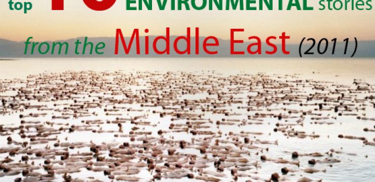top-10-environmental-stories-middle-east-2011.jpg