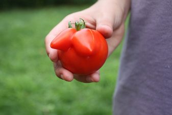 PIP Implant Scare Underscores Natural Options for Breast Enhancement