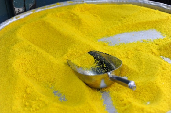 green eco tourism palestine