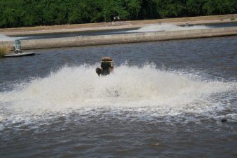 Army Sewage Irrigates Nature Park in Israel