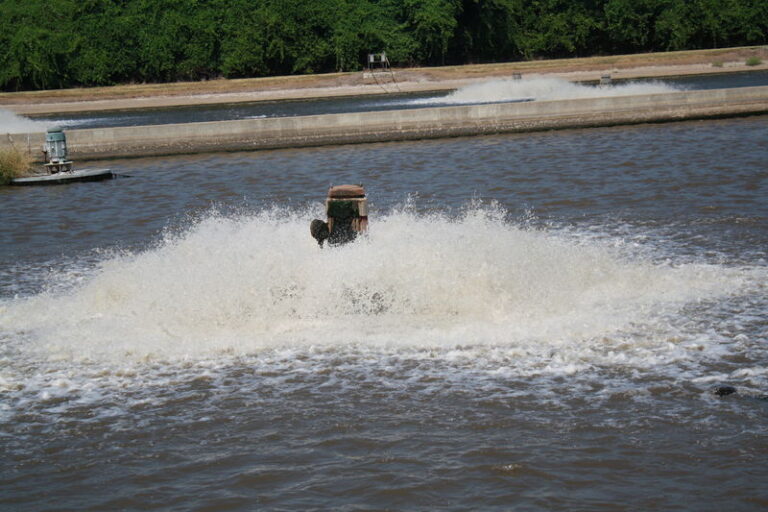 Army Sewage Irrigates Nature Park in Israel