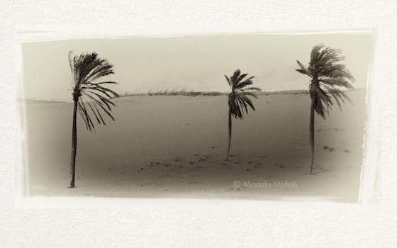 Egypt-1000-mw-wind-farm