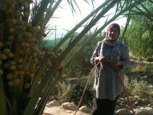 Permaculture Is the Silver-Green Bullet (INTERVIEW)