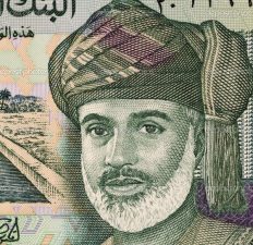 Terra Nex to Help Oman Build its own Solar Supply Chain