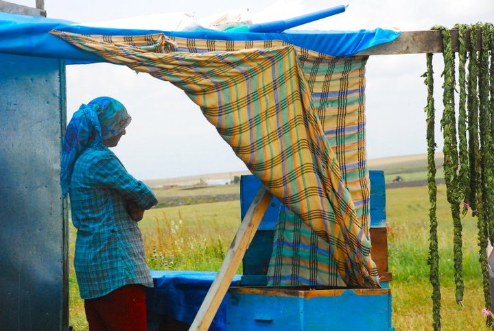 bees, food and health, sustainable tourism, eco-tourism, green tours, beekeeping, travel, nature