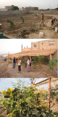 permaculture, jordan dead sea harmony center