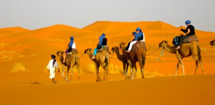 camels-in-desert.jpg