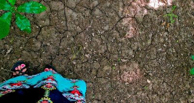 Canada’s Greensoil Invests in Israel Cleantech