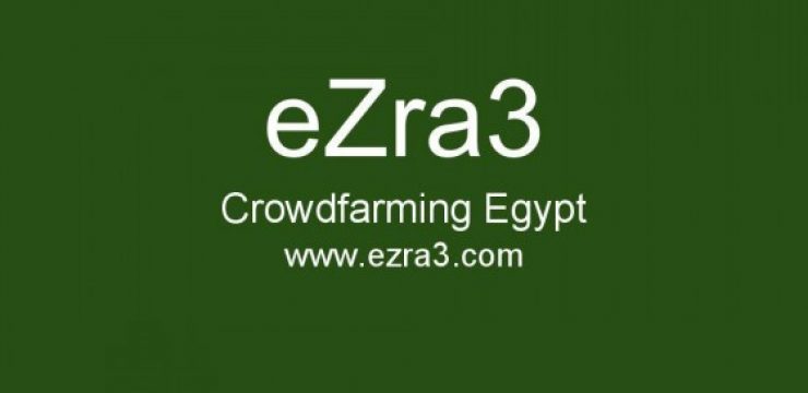 eZra3-crowdfarming-egypt.jpg