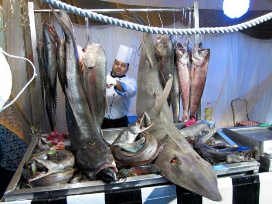 endangered species, illegal fishing, Hurghada, tourism, sharks