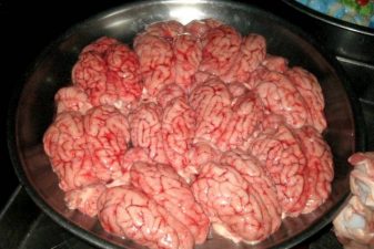 420 Pound Cow Brain Seizure in Cairo Deprives Egyptians of Tasty Dish
