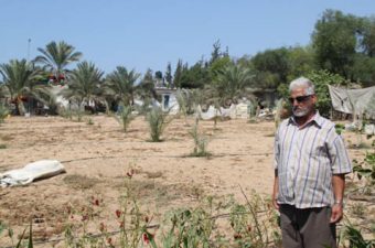 Gazan Farmers Struggle With Rising Salinity & Water Shortages