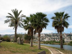 Israel and Palestine Join Hands Again to Build a Restorative Eco-Park