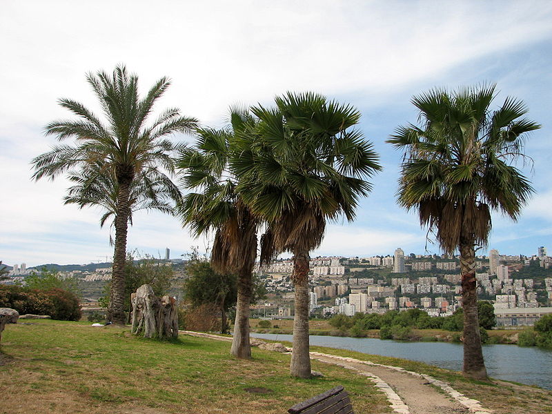 Israel and Palestine Join Hands Again to Build a Restorative Eco-Park