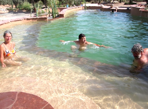 eco-pool, natural pool, ecological pool, chemicals, pollution, constructed wetlands, green design, sustainable design, eco design