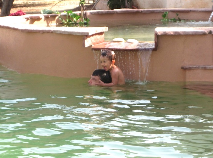 eco-pool, natural pool, ecological pool, chemicals, pollution, constructed wetlands, green design, sustainable design, eco design