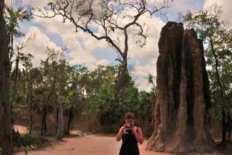 Termite Mounds Inspire Energy Neutral Buildings