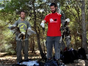 Maltese Hunters Legally Massacre Egypt’s Protected Birds (Video)