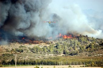 Israel’s Carmel Wildfire Blame Goes All the Way to the Top