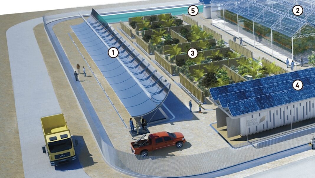 Sahara Forest Project, Jordan, Doha, Qatar, desalination, solar power, algae, cleantech, agriculture, desert,