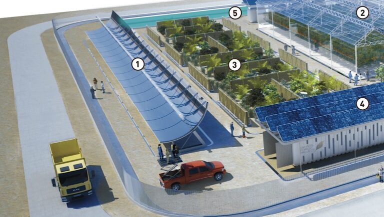 Epic Sahara Forest Project Unveils Plans For a Pilot Plant in Qatar